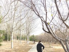 -永定河休闲森林公园