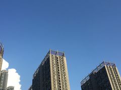 -COMMUNE幻师(花园道店)