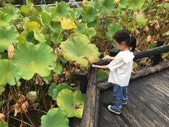 -合肥三国新城遗址公园