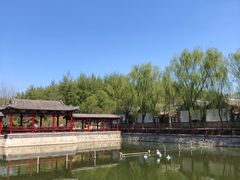 景观位-尚庄度假村·庭台树下·户外烧烤·团建CS·轰趴营地(上庄水库店)