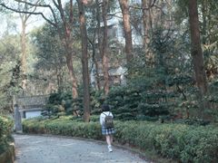 -南山植物园