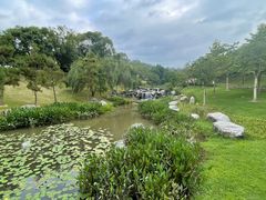 -东莞植物园
