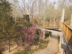 -石家庄市植物园