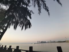 -万绿园