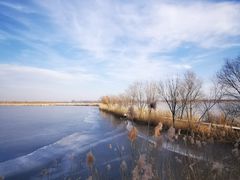 -野鸭湖国家湿地公园