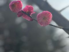 -梅龙镇广场