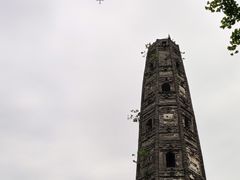 -上海佘山国家森林公园天马山园