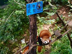 -大连森林动物园