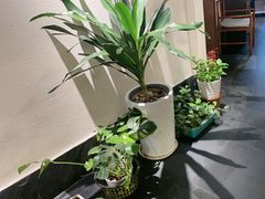 -鸽舞笙平金牌烧鸽子·融合菜(鲁谷店)