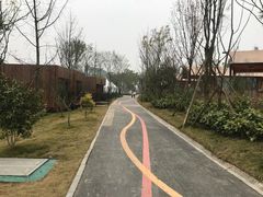 -黄龙溪欢乐田园