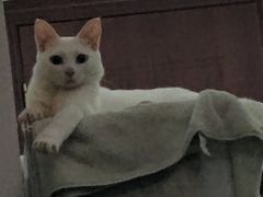 -喜姐炸串(湖里万达金街店)