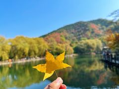 -九如山休闲旅游度假区