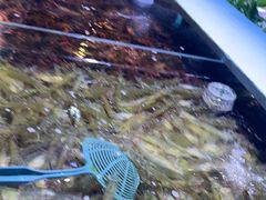 -聚盛源蒸汽海鲜火锅烤肉自助(巨川金海岸购物广场店)