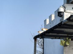 -北京十三陵国家森林公园蟒山景区