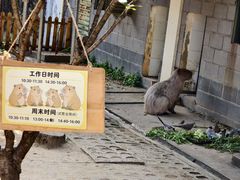 -合肥野生动物园