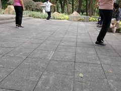 -广州老年大学