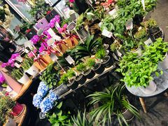 -豆豆花艺(新光天地店)