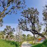 独家小众桥底乐园🏕️新上市免门票好停车