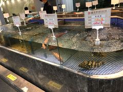 水产区-德天肥牛海鲜火锅(龙吟坊店)