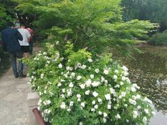 -汇龙潭