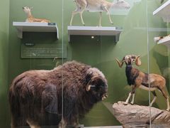 -国家自然博物馆