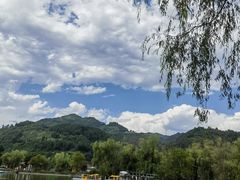 -后柳水乡