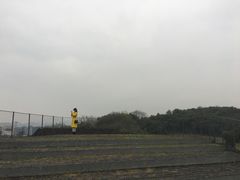 -中国美术学院象山校区-民艺博物馆