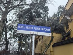 -灵岩山风景区