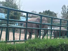 -秦皇岛野生动物园