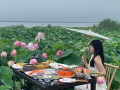 -七的湖·晚芳亭·阳澄湖农家菜·大闸蟹(莲花岛店)