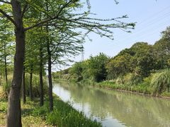 -上海长兴岛郊野公园