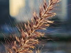 -深圳湾万象城(南山店)