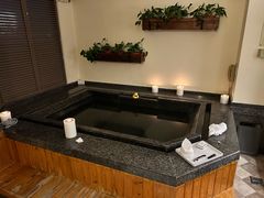 -春晖园度假酒店温泉