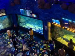 -烟台海昌鲸鲨海洋公园