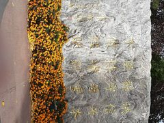 -北京国家会计学院