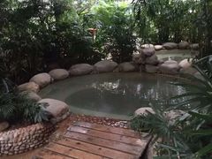-三江森林温泉度假区