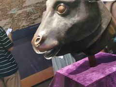 -广西壮族自治区博物馆