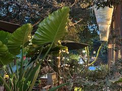 -凤来栖·净庭院·火锅(欧尚店)