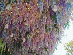 -芜湖方特东方神画