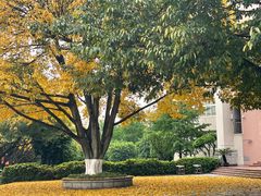 -西南政法大学(渝北校区)
