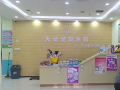 -天宠宠物医院24小时·急重症诊疗中心·全科·腔镜特色(和平分院)