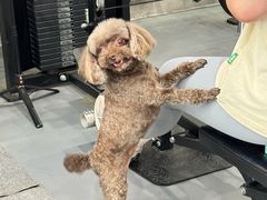 -天宠宠物医院24小时·急重症诊疗中心·全科·腔镜特色(和平分院)