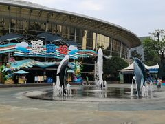 -海合安成都极地海洋公园