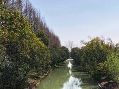 -上海长兴岛郊野公园