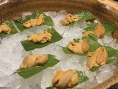 -月龍吟(朝龙汇店)