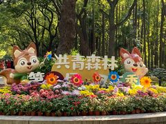 -上海共青森林公园