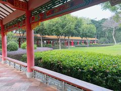 -顺峰山公园
