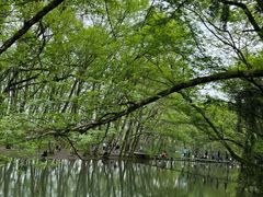-西溪南古村落