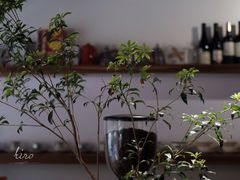 -琥珀咖啡 Ambercoffee