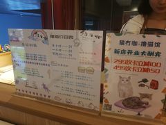 -猫冇咖·家门口的撸猫馆(大融城店)